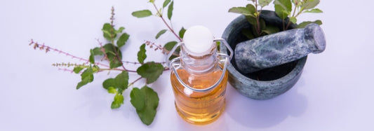 Tulsi the Sacred Herb of Ayurveda and its Healing Wonders - Find Your Balance with Sama
