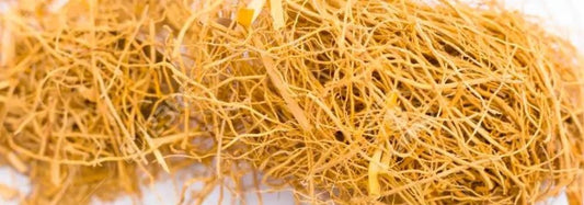 Unearthing Ayurveda’s Root of Healing and Balance Vertiver - Find Your Balance with Sama