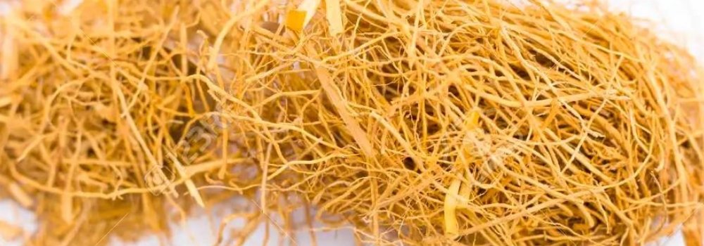 Unearthing Ayurveda’s Root of Healing and Balance Vertiver - Find Your Balance with Sama